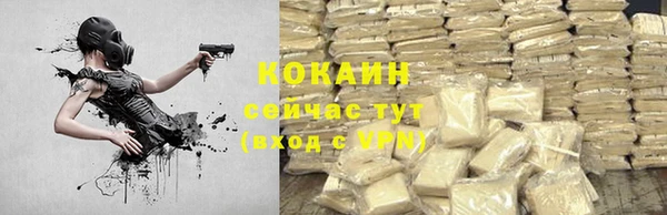 стафф Вяземский