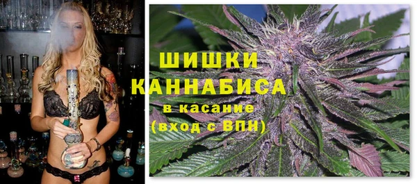 гидропоника Вязьма