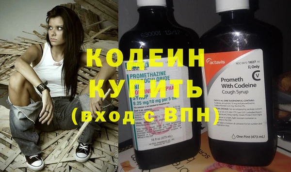 МДПВ Каменка