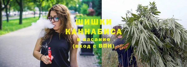 гидропоника Вязьма