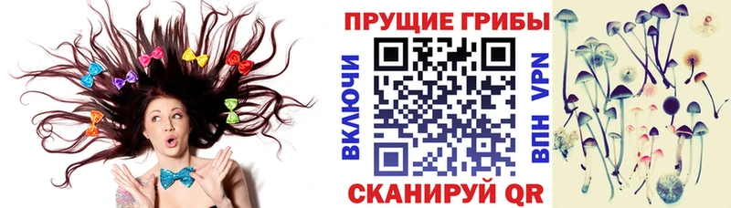 Галлюциногенные грибы прущие грибы Заволжск