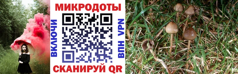 hydra рабочий сайт  Заволжск  Псилоцибиновые грибы Psilocybine cubensis 
